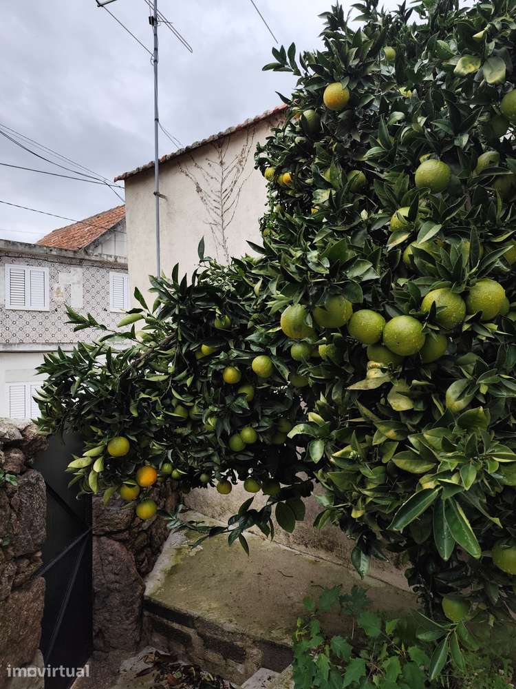 Casa rústica de aldeia pequena com terraço e lareira em Carrapichana - Grande imagem: 2/26