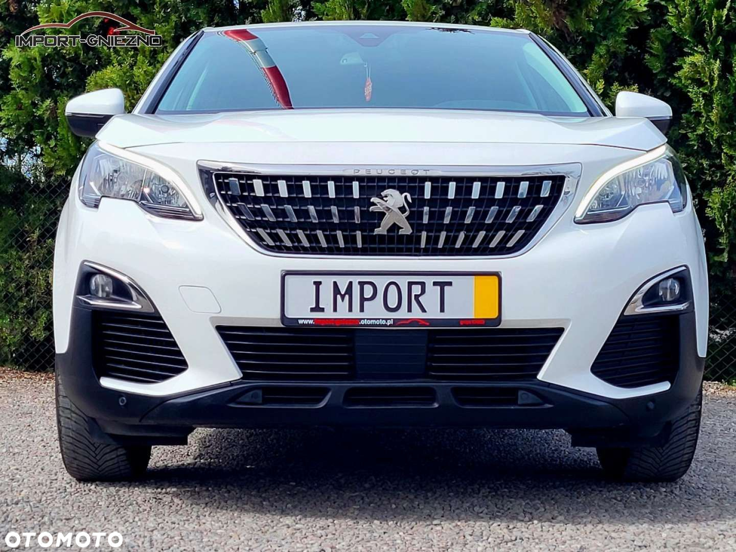 Peugeot 3008 - 18