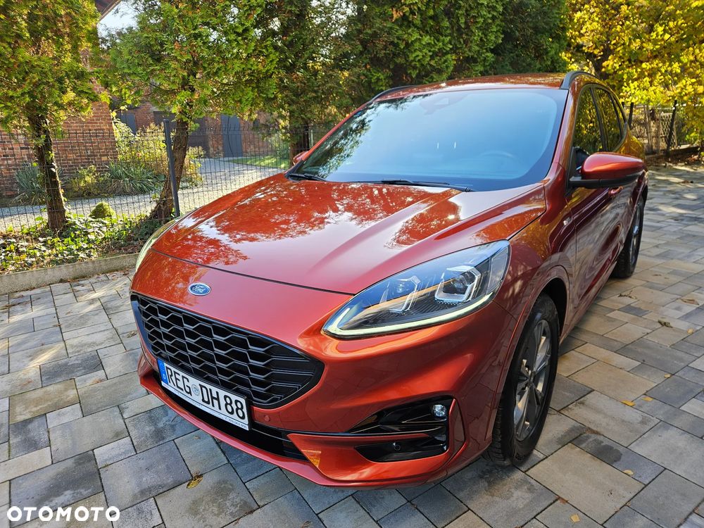 Ford Kuga 2020 photo 3