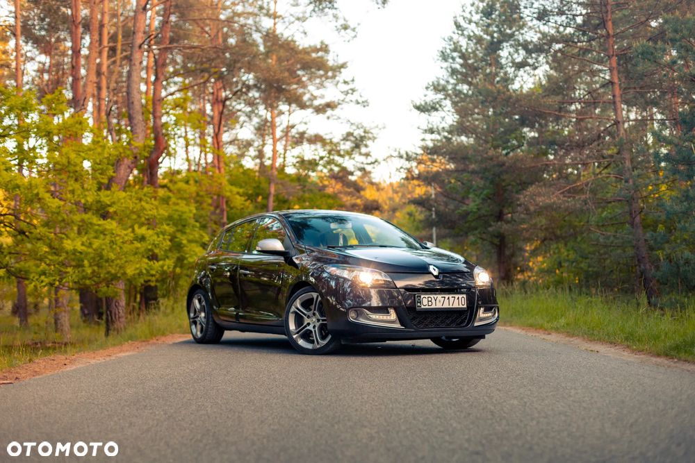 Renault Megane dCi 165 FAP GT - 1