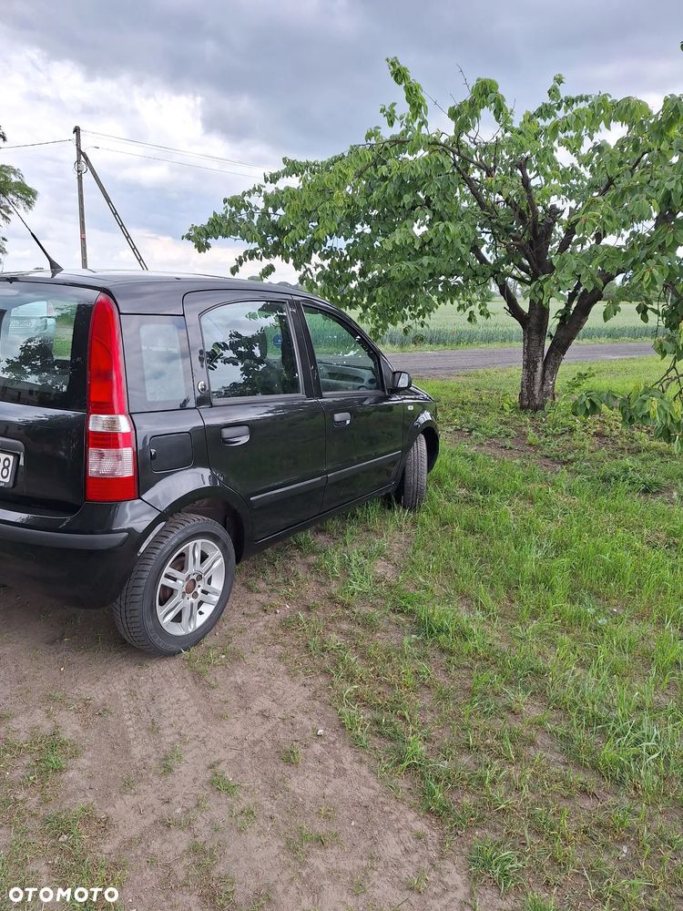 Fiat Panda - 6