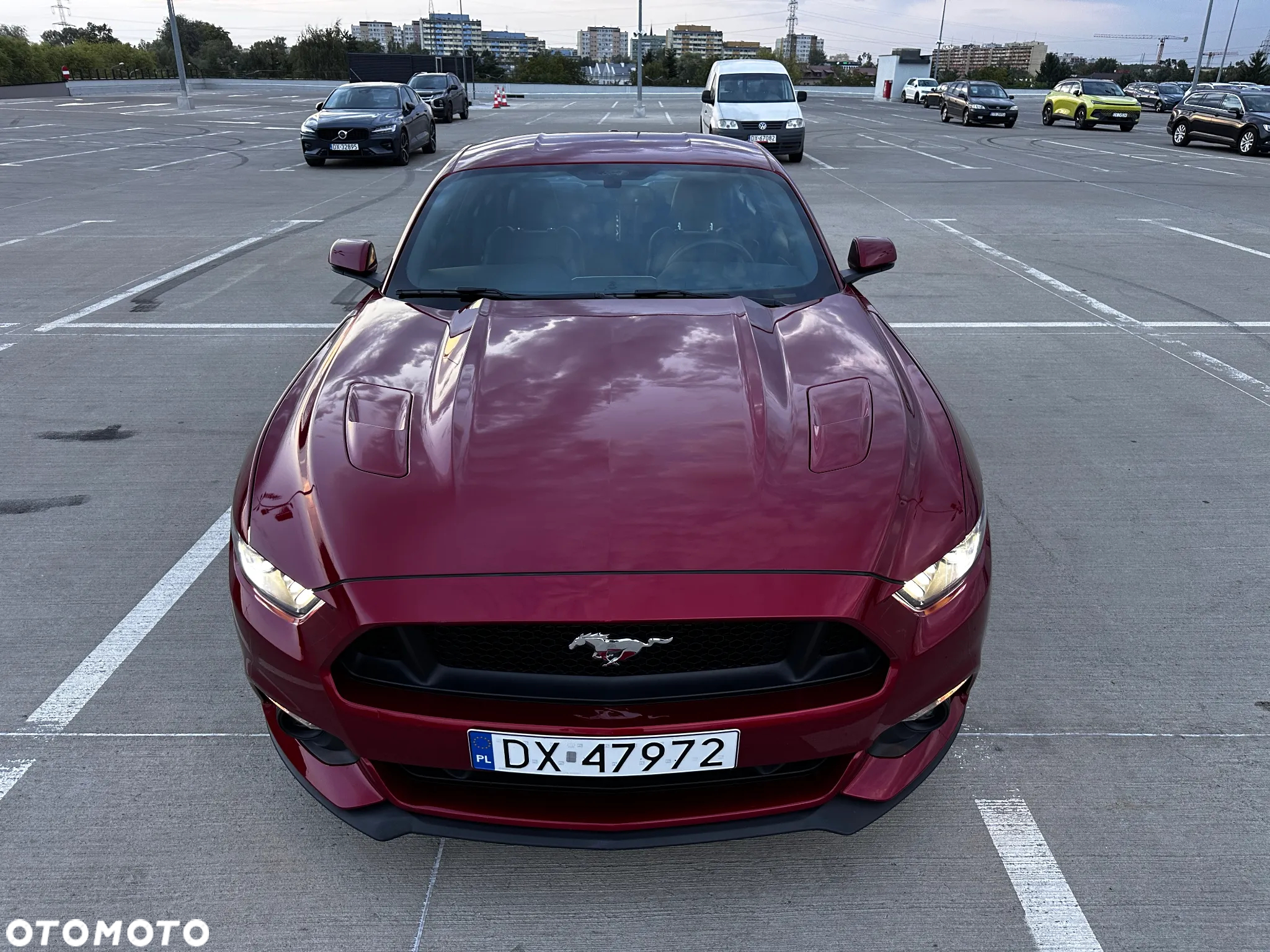 Ford Mustang 5.0 V8 GT - 6