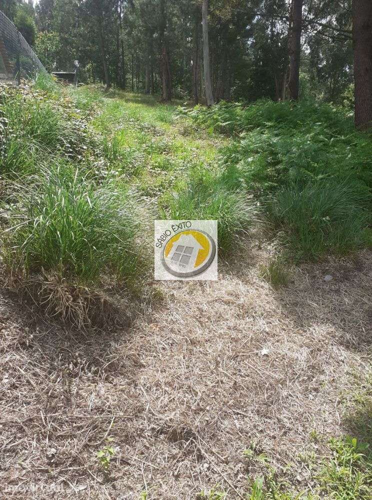 Terreno Urbano com 1000 m2 em Olival, Gaia - Grande imagem: 4/8