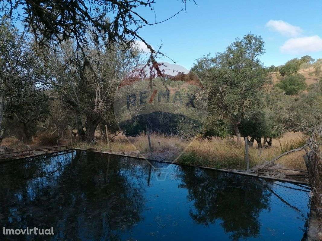 Quinta  para venda - Grande imagem: 4/21