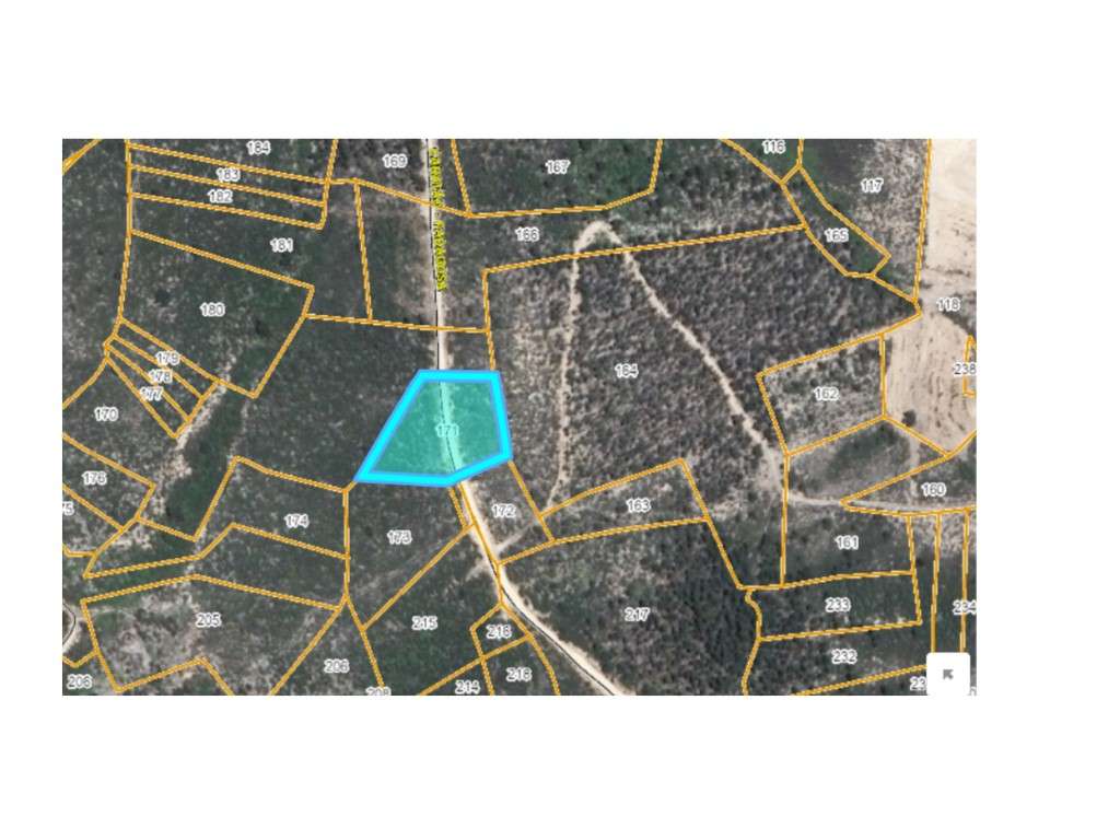 Terreno Rústico com 1.940 m² - Largo, Freguesia de Mação - Grande imagem: 5/8