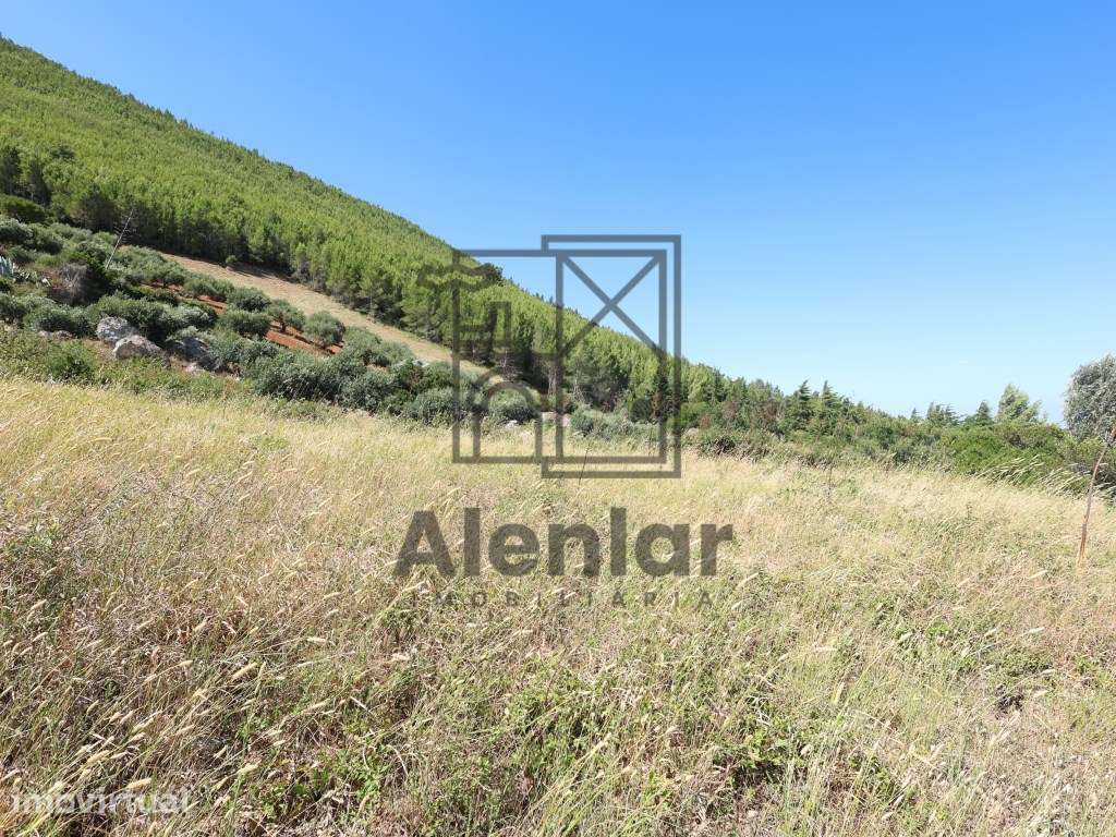 Terreno rústico com 3.440 m² junto à Serra de Montejunto - Natureza... - Grande imagem: 3/10