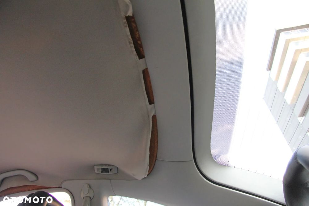 Volkswagen New Beetle - 29