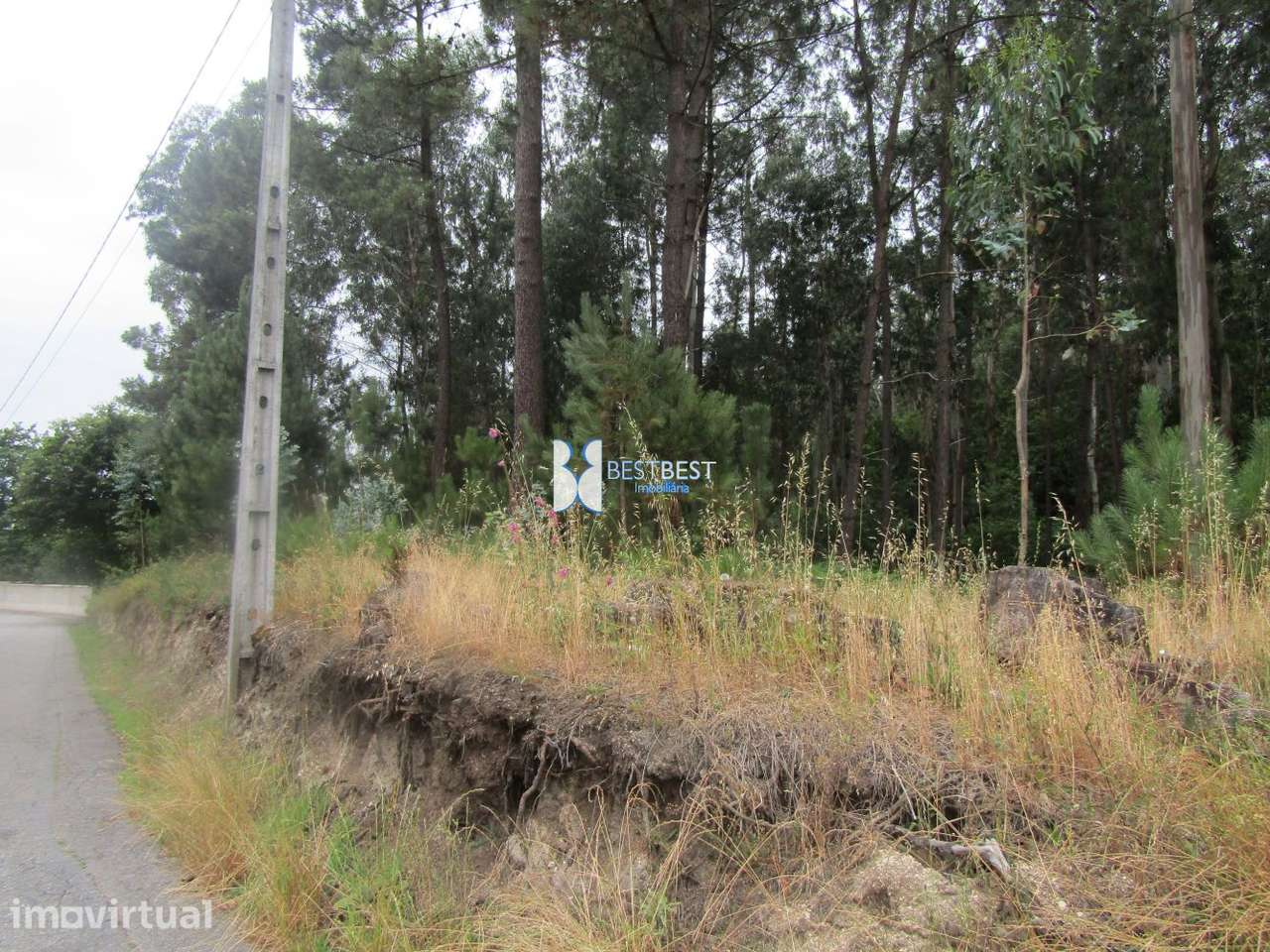EXCELENTE TERRENO, C/6000 M2, JUNTO Á DIDAX EM CRUZ, FAMALICÃO - Grande imagem: 3/14