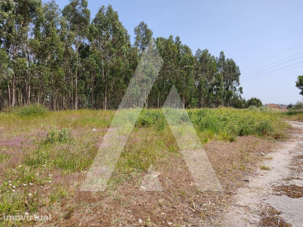 Terreno em Beduído - Estarreja - Grande imagem: 5/12