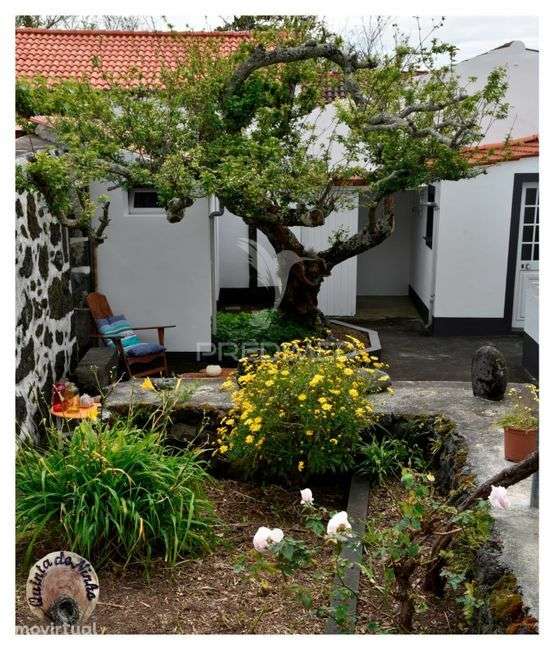 Quinta no lugar dos terreiros legalizada em A.L. - Grande imagem: 3/14