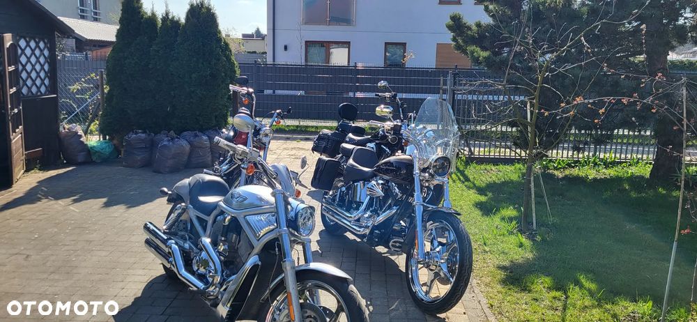 Harley-Davidson Softail Custom - 12