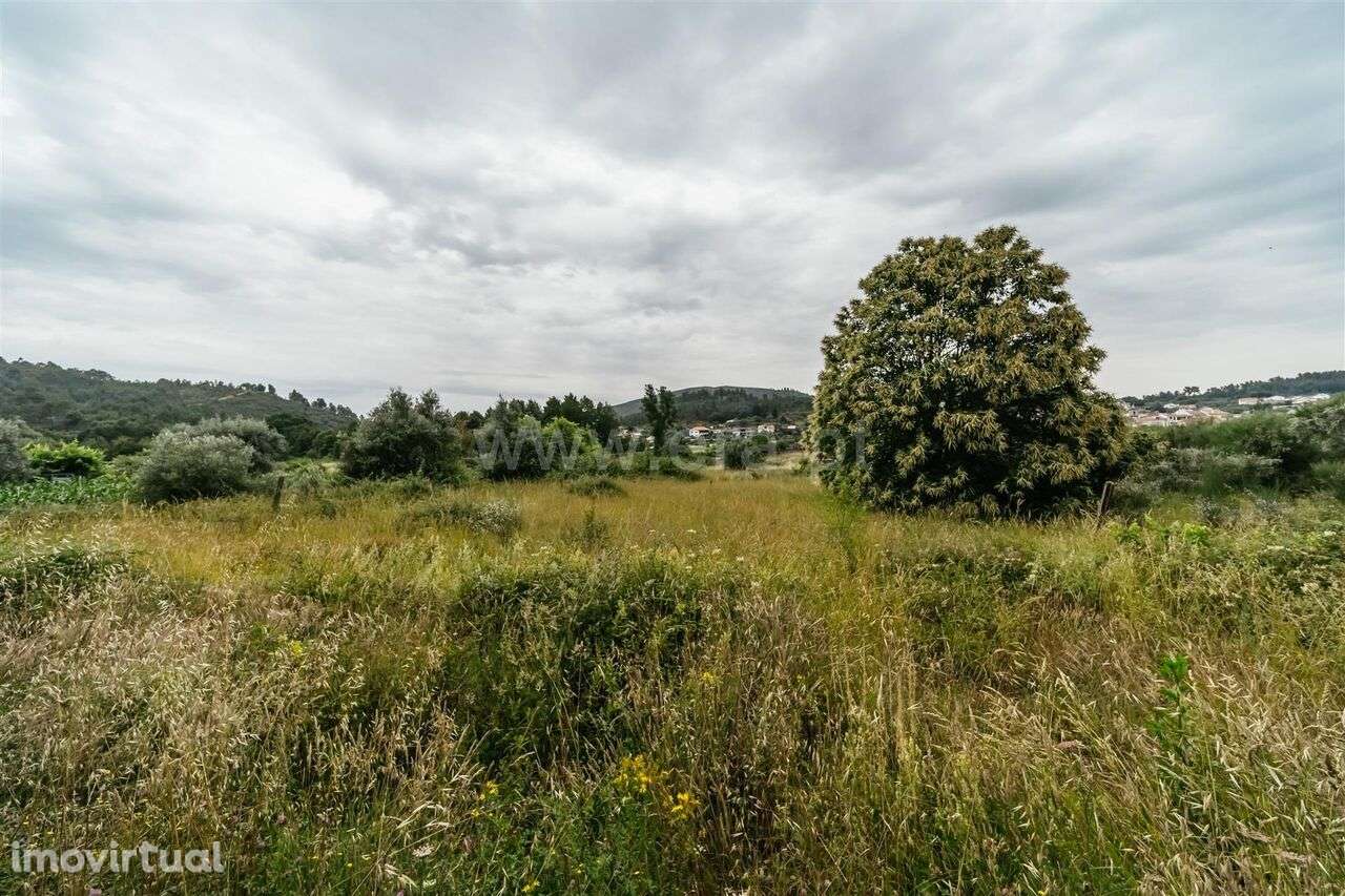 Quintinha T3 / Fundão, Castelejo - Grande imagem: 2/16