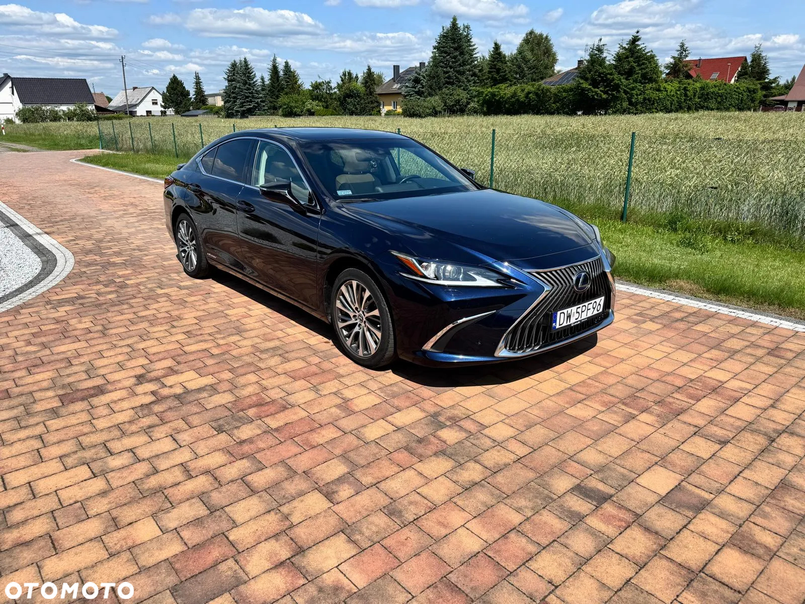 Lexus ES 300h Business Edition + - 2