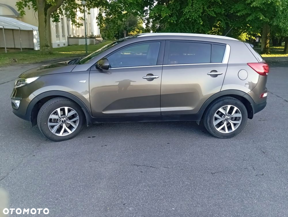 Kia Sportage 1.6 GDI Business Line M 2WD - 16