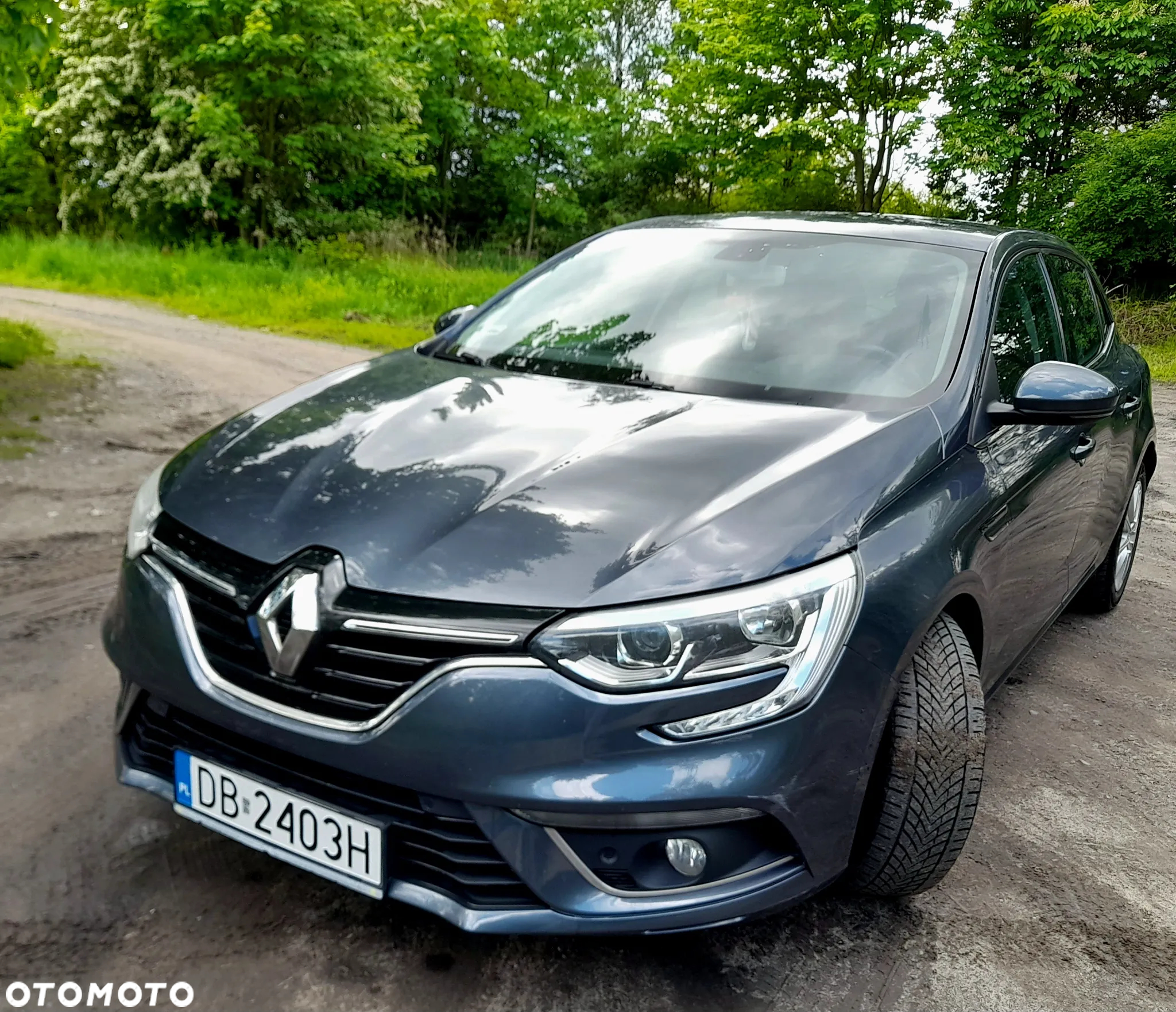 Renault Megane 1.2 Energy TCe Limited - 8