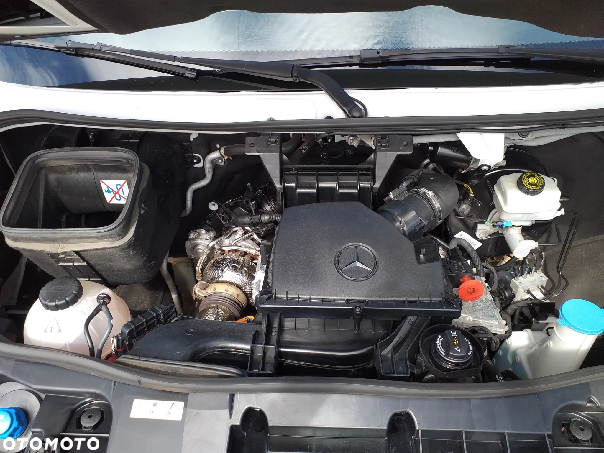 Mercedes-Benz SPRINTER 317 CDI MAXI BRYGADÓWKA 9 OSÓB OBROTOWE FOTELE NR.54 - 39