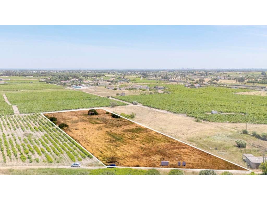 Terreno com 9.260m2 em Palmela com Potencial Construtivo (Zonamento... - Grande imagem: 3/11