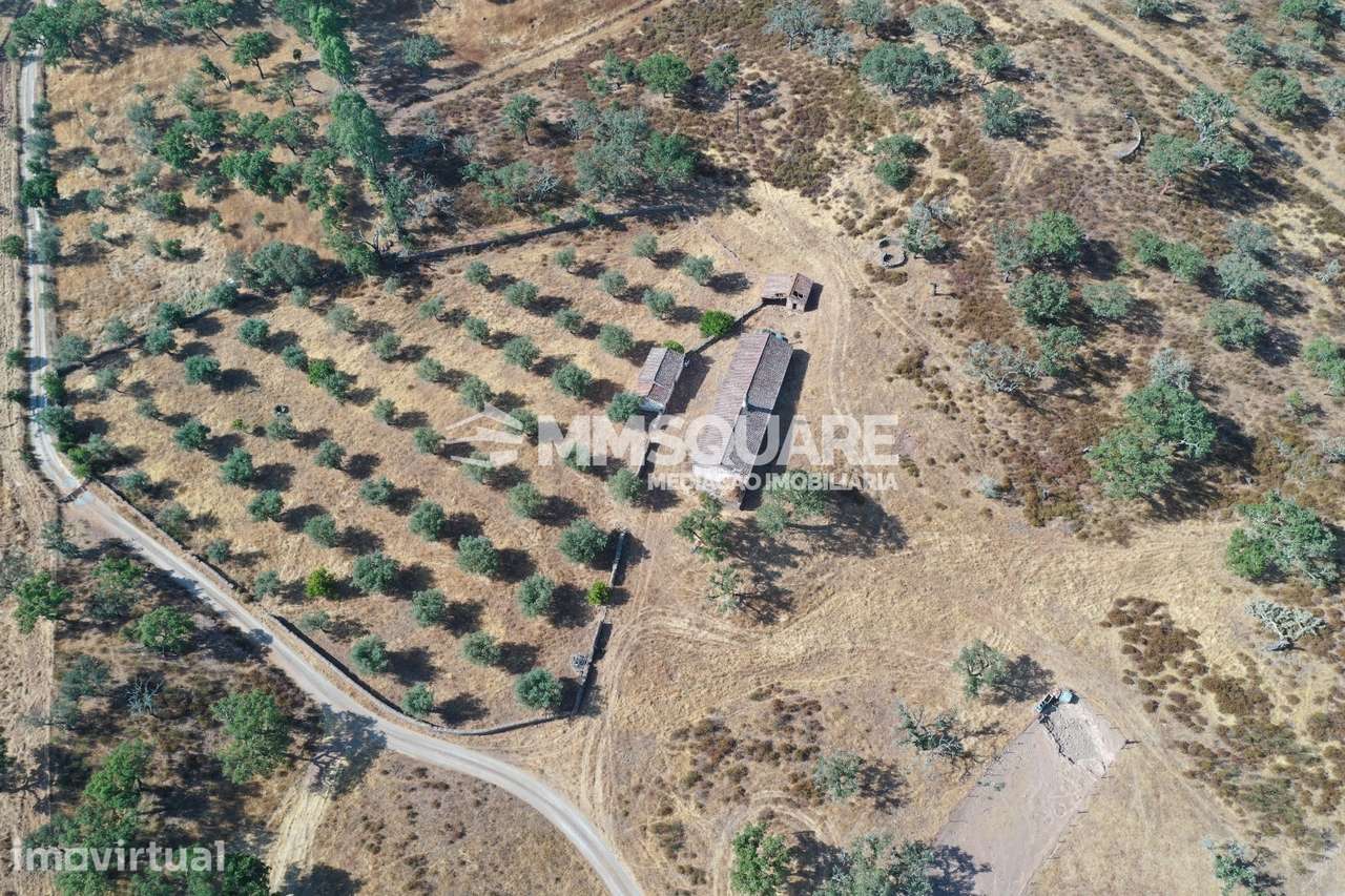 Monte do Chaparral — Ourique - Grande imagem: 4/36