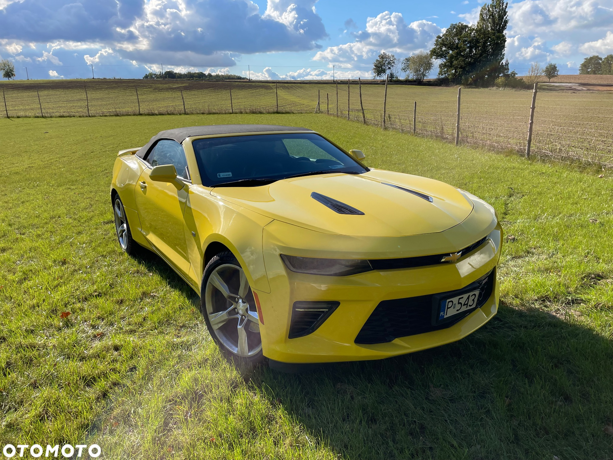 Chevrolet Camaro - 6