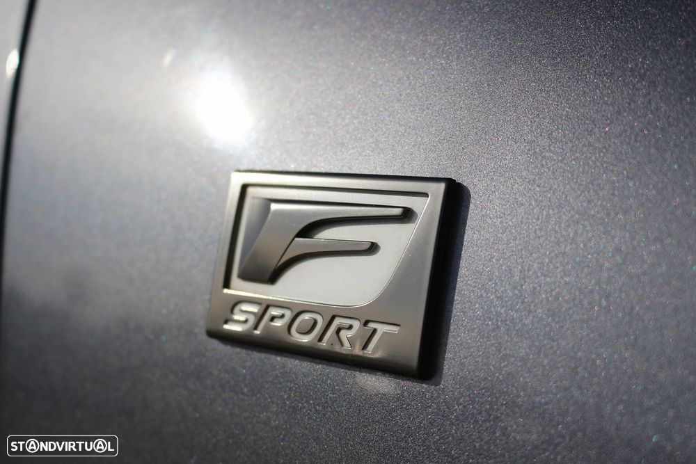 Lexus IS 300H F Sport - 25