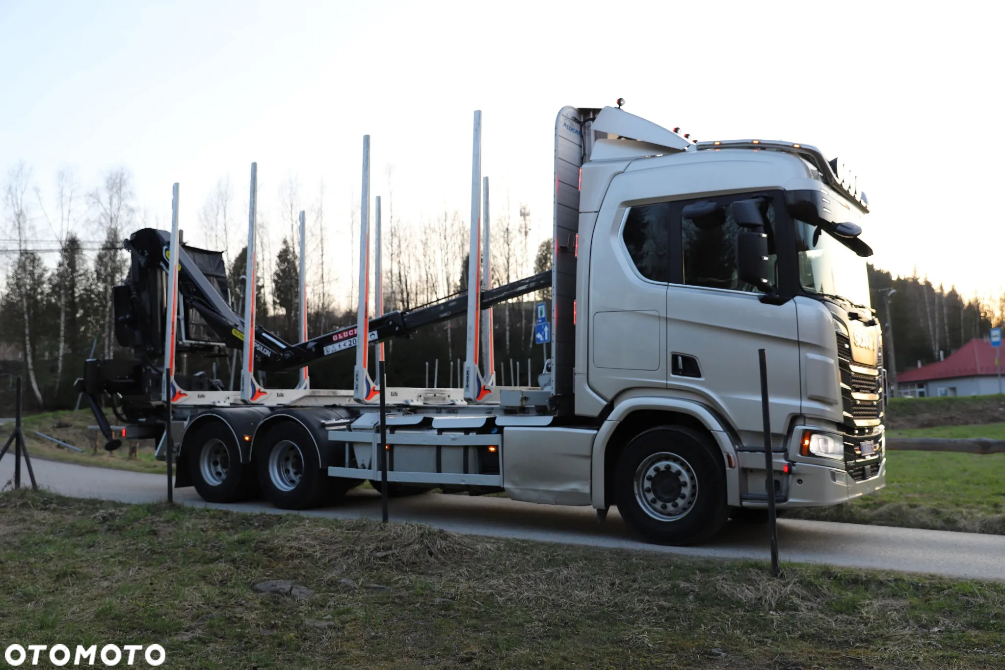 Scania R650 6X4 EURO 6 Resor Resor Dzwig Epsilon z Kabina Do drewna Lasu dłużycy kłody Palfinger - 13