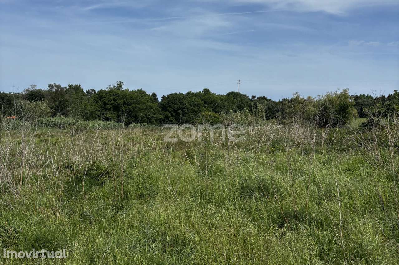 Terreno, 2 895 m², Alhadas - Grande imagem: 4/17