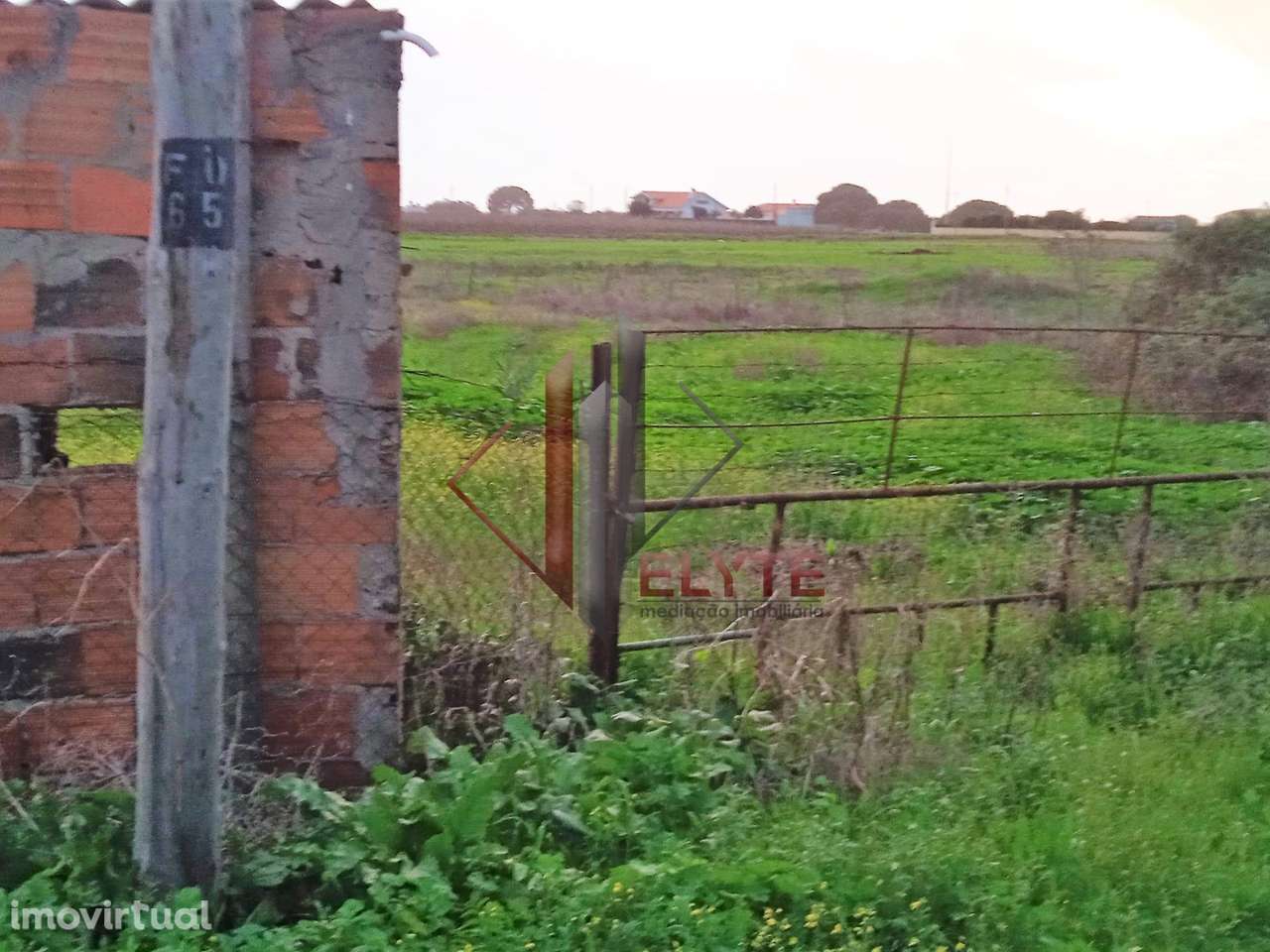 Terreno com armazém em Benavente. - Grande imagem: 4/16