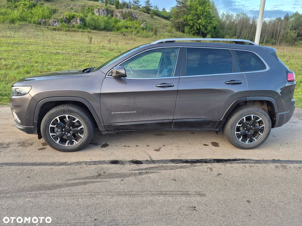 Jeep Cherokee 2.0 GME Active Drive I Limited - 10