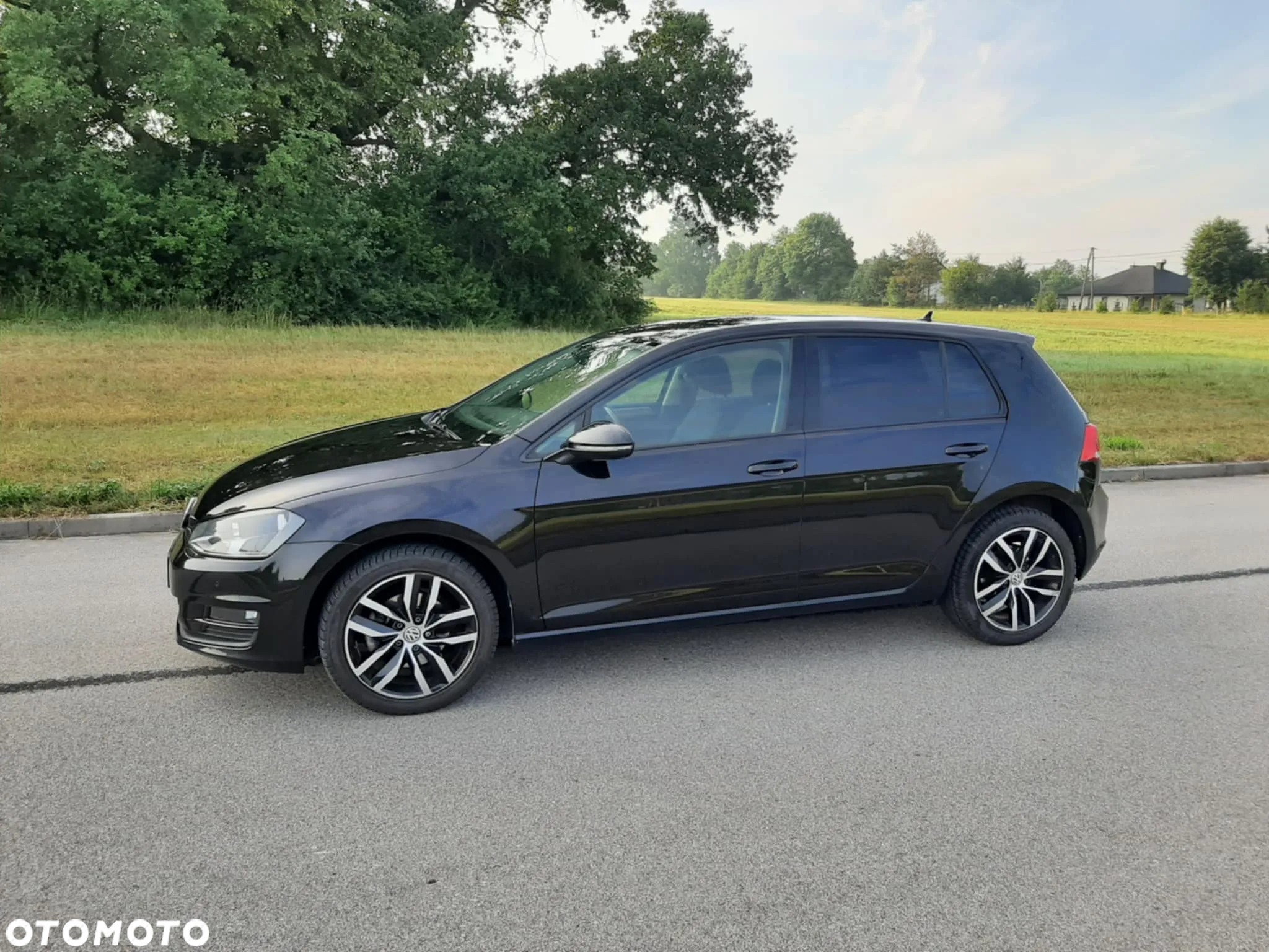 Volkswagen Golf - 5