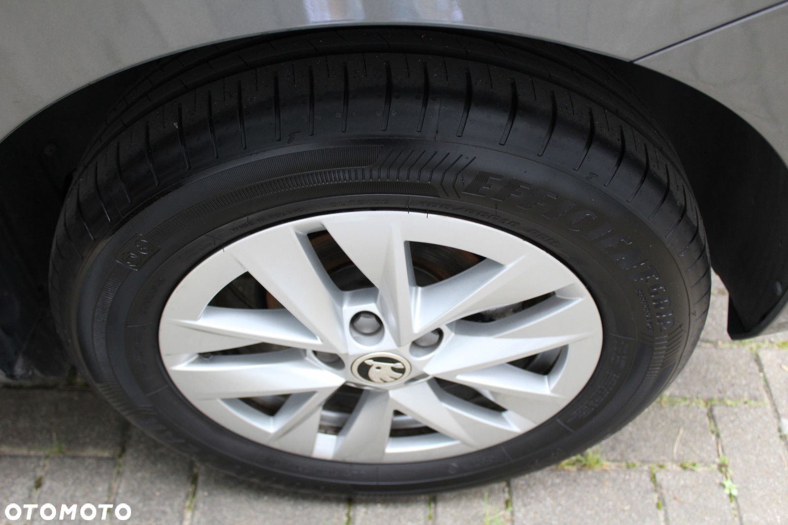 Skoda Fabia 1.0 TSI Selection DSG - 26