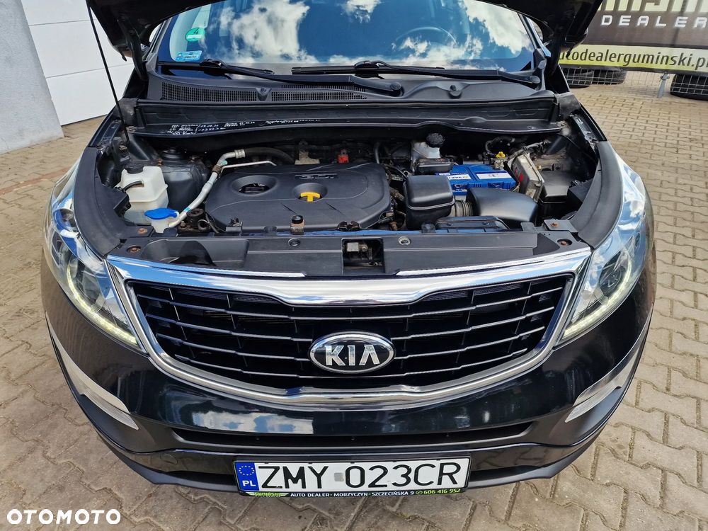 Kia Sportage 2.0 GDI L 2WD - 16