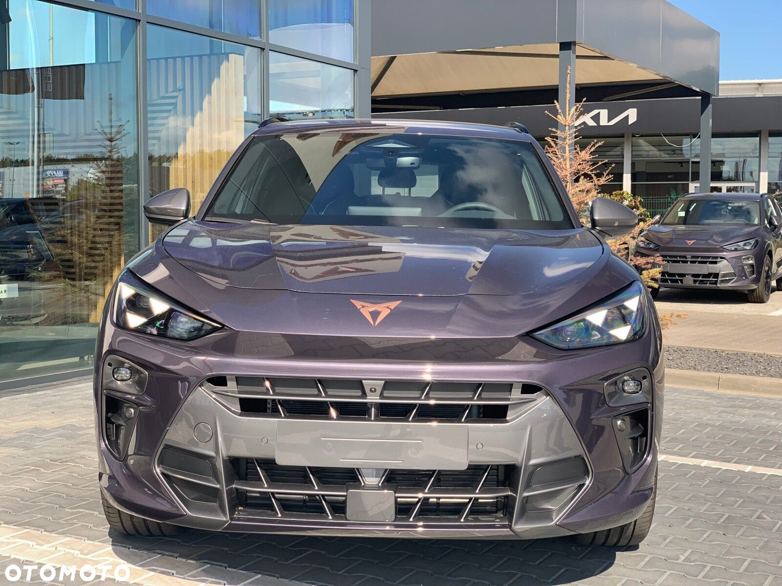 Cupra Terramar - 2