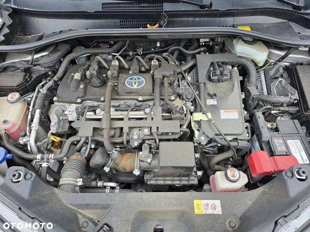 Toyota C-HR Business-Edition - 17
