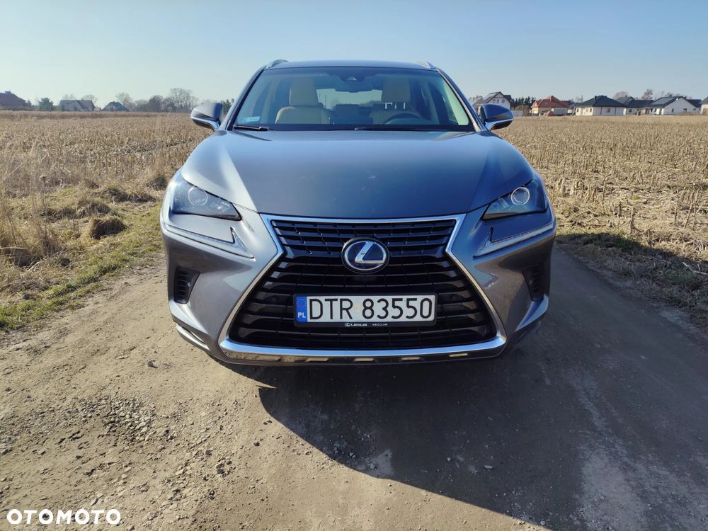 Lexus NX 300h Comfort AWD - 5