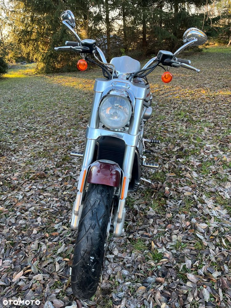 Harley-Davidson V-Rod Street Rod - 5