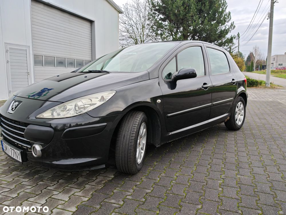 Peugeot 307 1.6 Sporty - 3