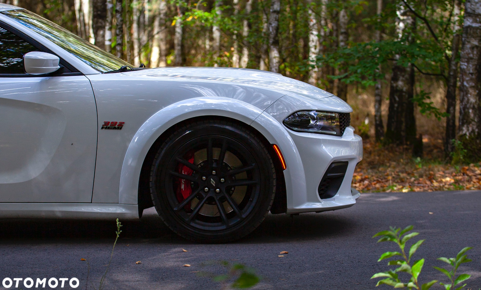 Dodge Charger 6.4 Scat Pack Widebody - 7