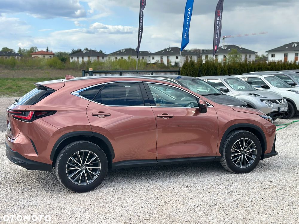 Lexus NX 350h Prestige 2WD - 6