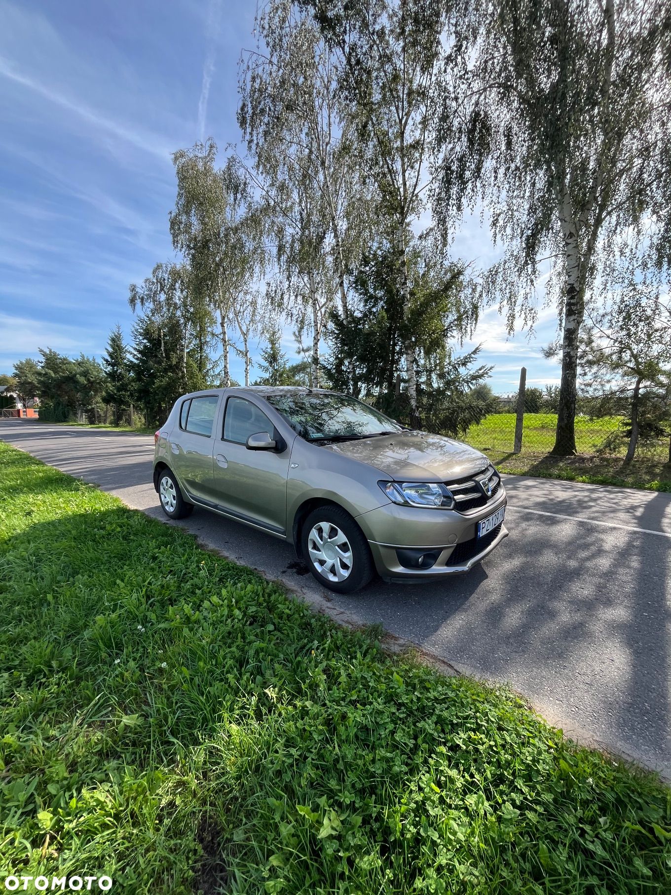 Dacia Sandero - 1