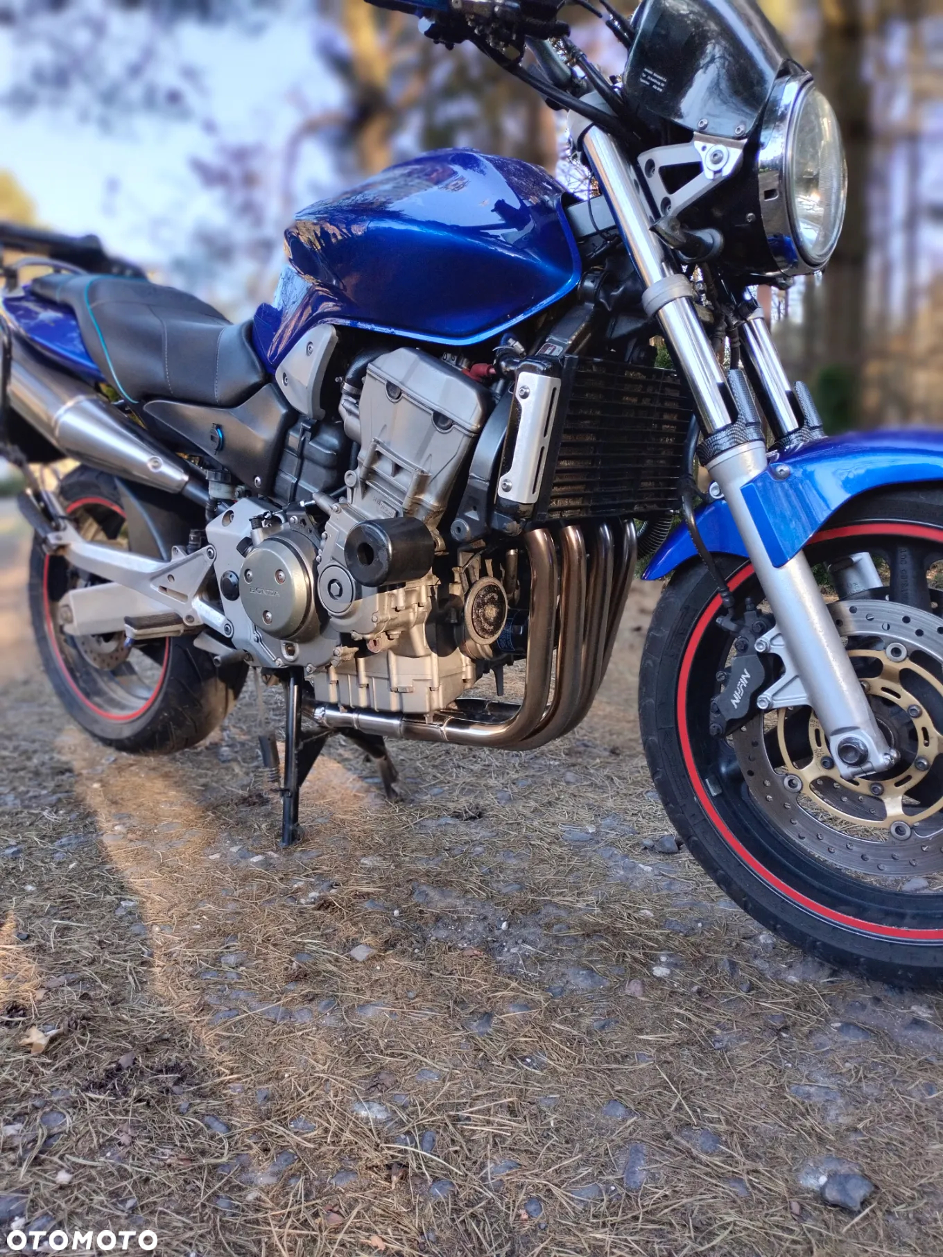 Honda Hornet - 3