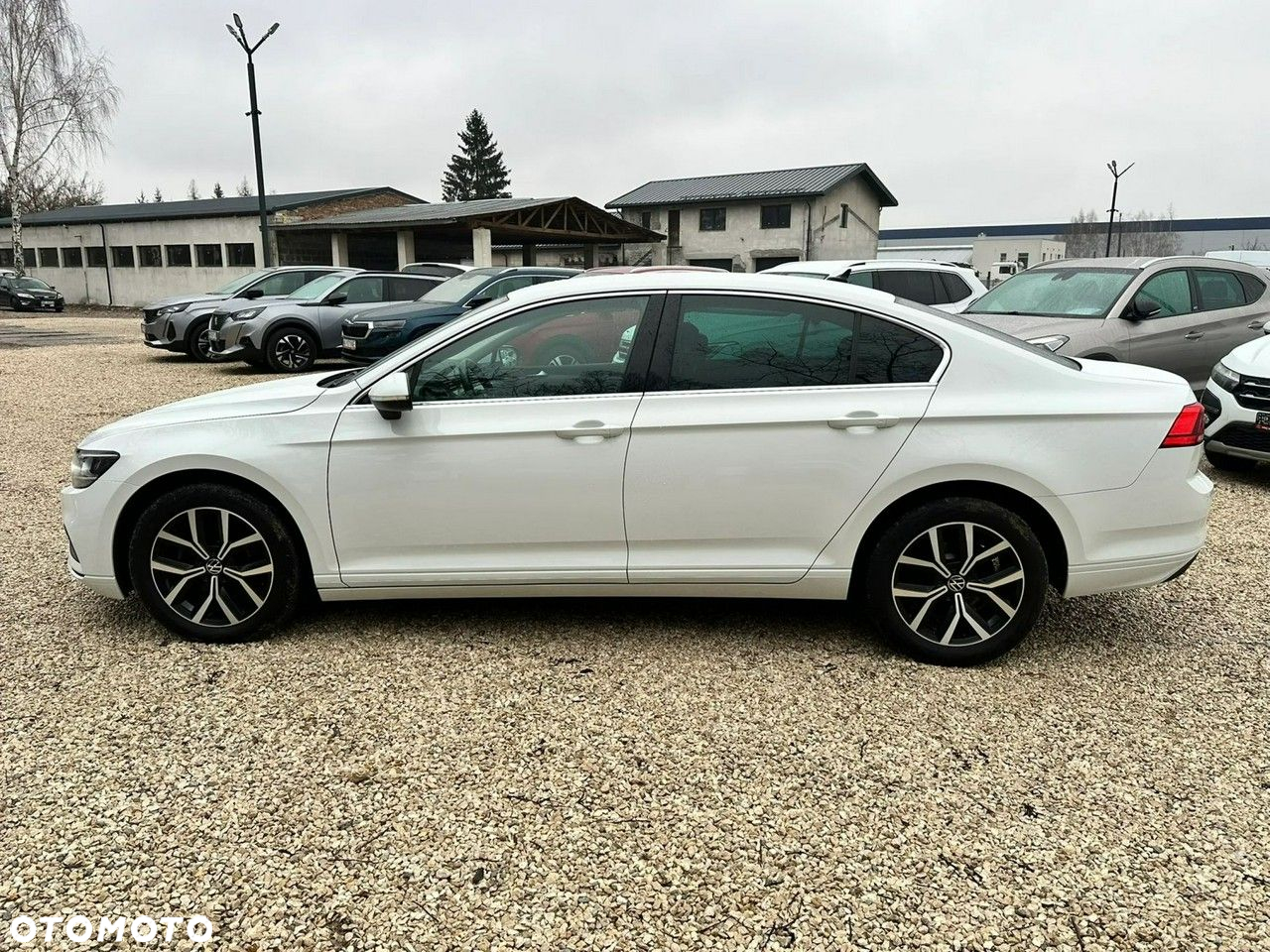 Volkswagen Passat 2.0 TDI EVO Business DSG - 6