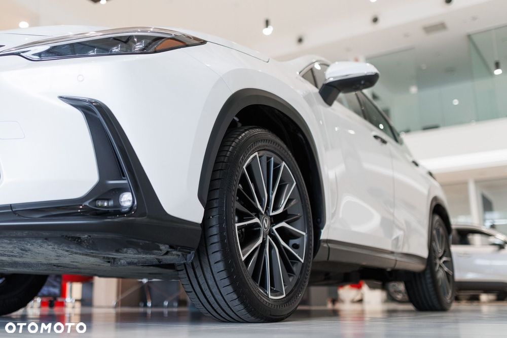 Lexus NX - 14