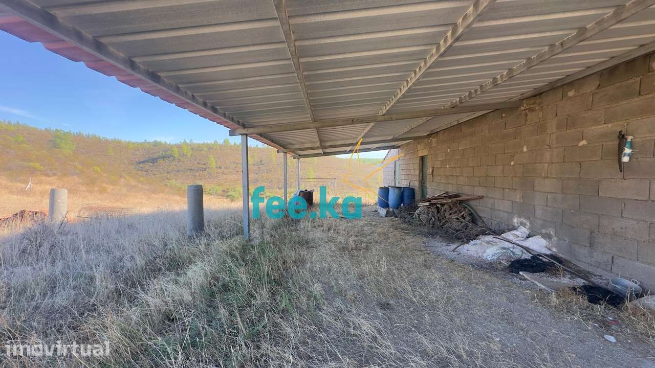 Terreno em Arieiras, Perais - Grande imagem: 5/33