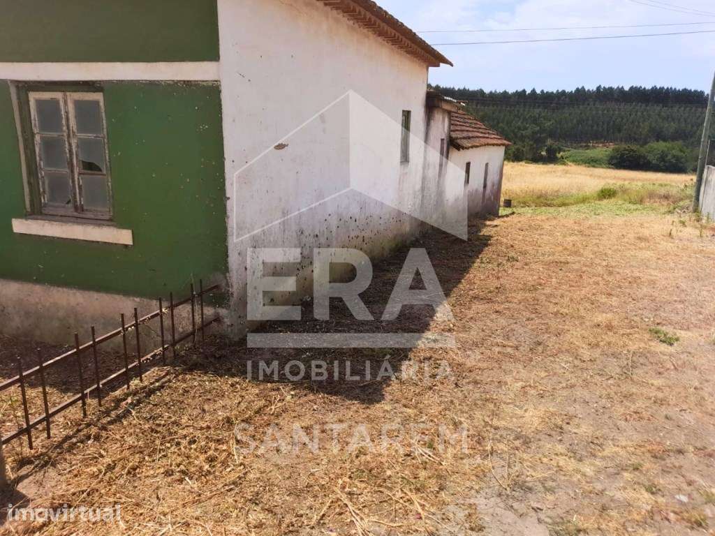 Moradia T3 para recuperar - Grande imagem: 2/12