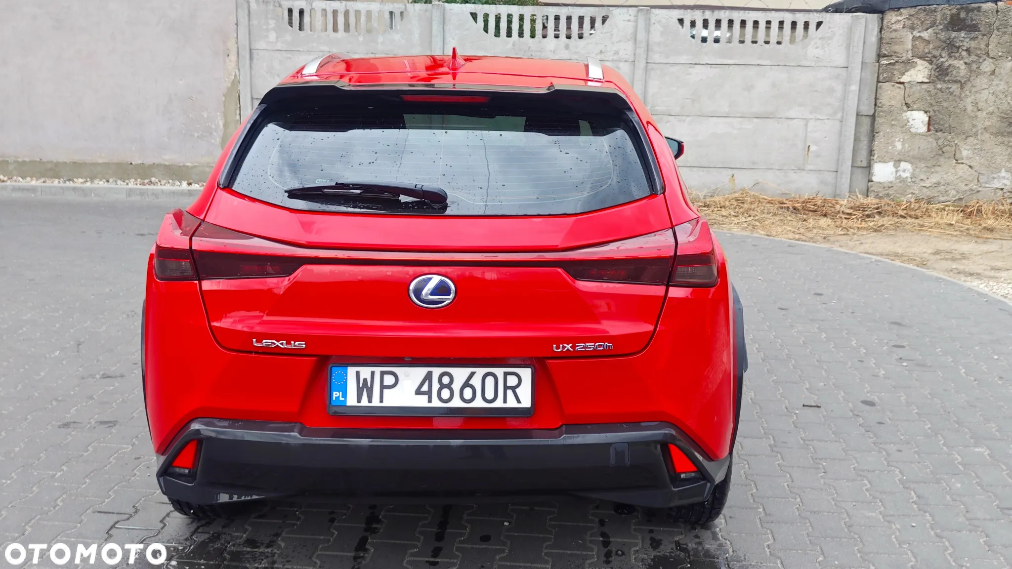 Lexus UX 250h Business Edition - 5