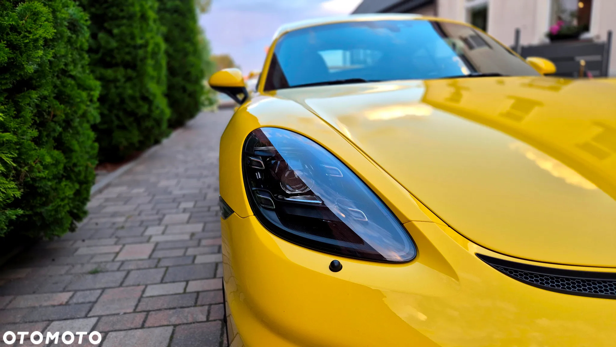 Porsche 718 Cayman GPF GT4 - 6