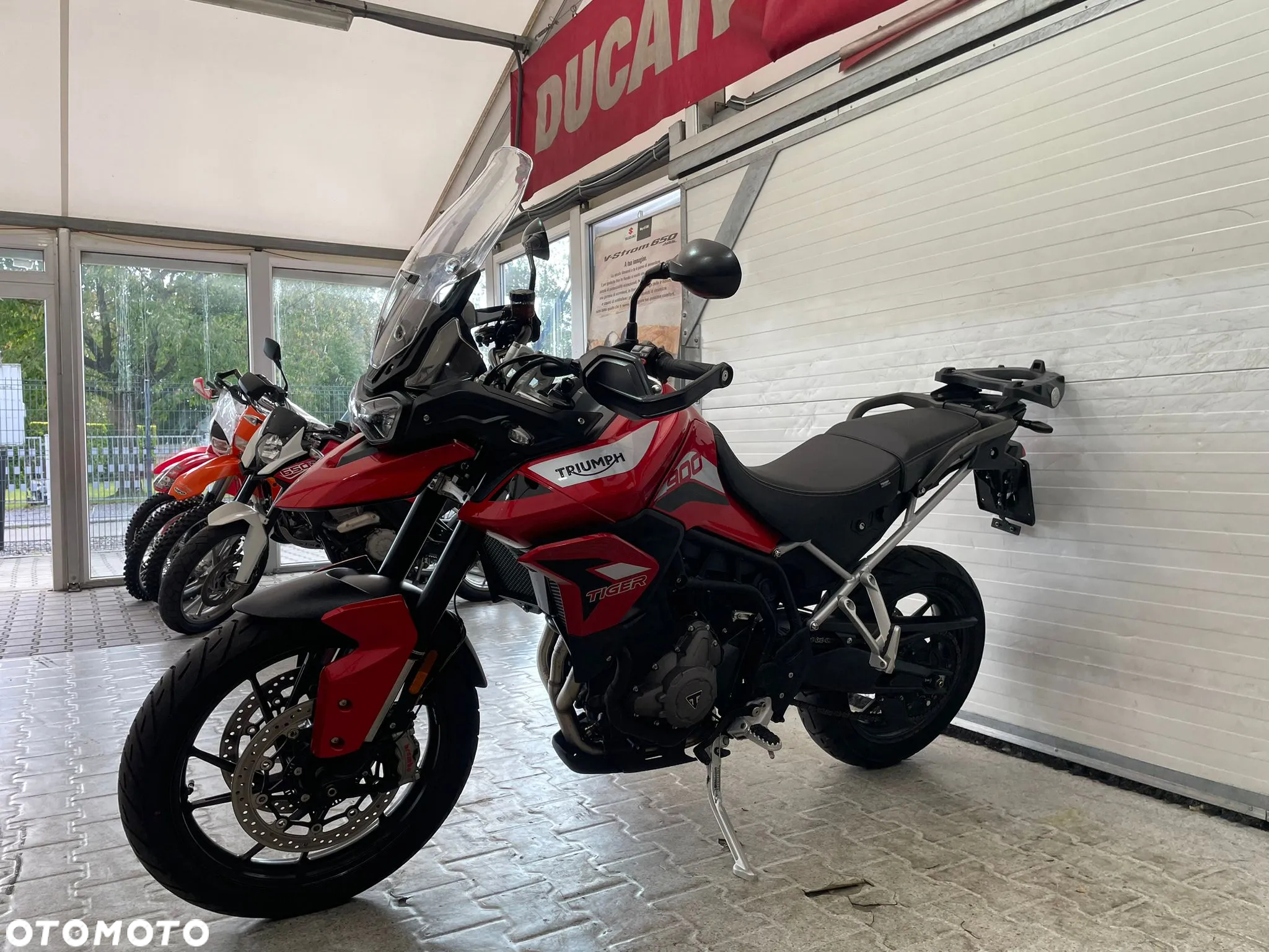 Triumph Tiger - 6