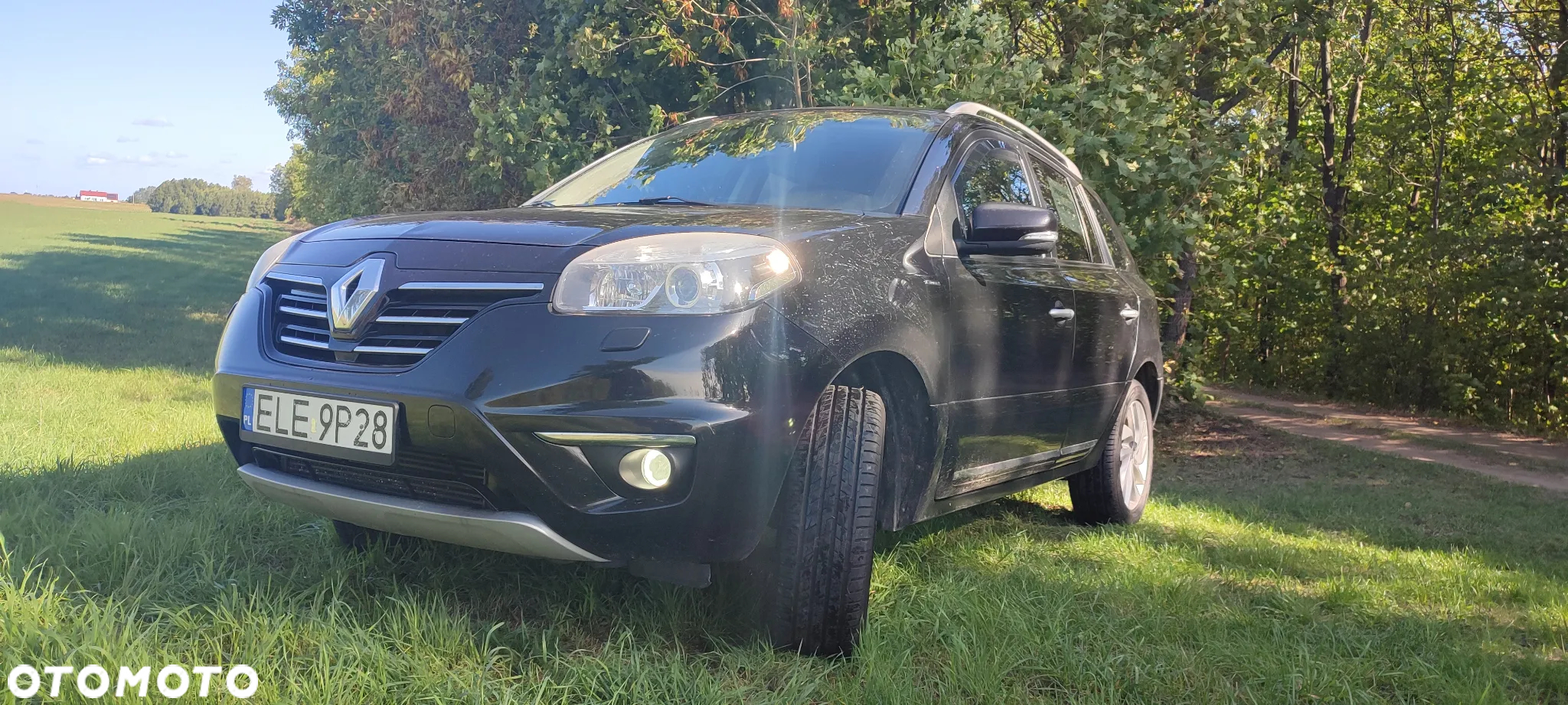 Renault Koleos 2.0 dCi 4x4 Limited - 13