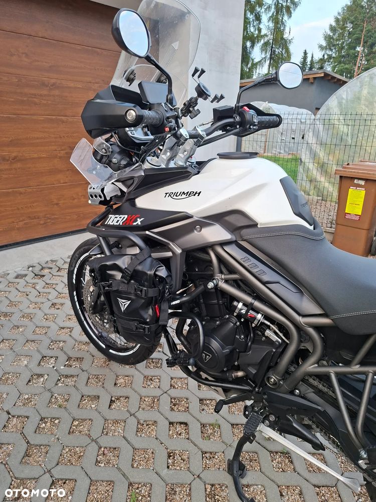 Triumph Tiger - 6