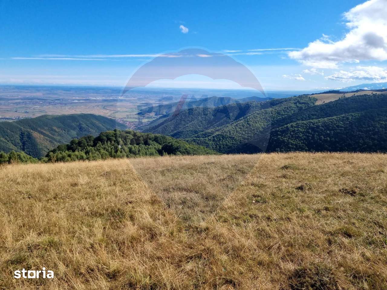 Teren extravilan - Imagine principală: 4/13